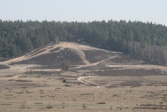 Saarmunder Berg
