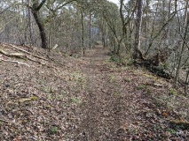 die schönen Berge in Wilhelmshorst