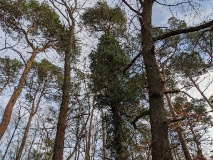 Schöne Berge in Wilhelmshorst