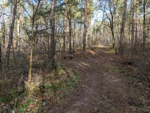 die schönen Berge in Wilhelmshorst