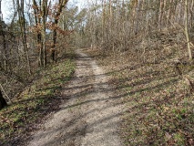 die schönen Berge in Wilhelmshorst