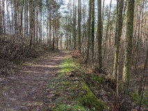 Schöne Berge in Wilhelmshorst