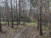 Schöne Berge in Wilhelmshorst