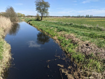 Fluss-Idylle an der Nuthe
