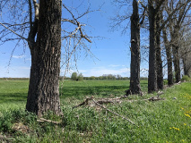 Fluss-Idylle an der Nuthe