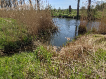 Fluss-Idylle an der Nuthe