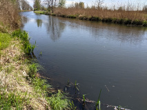 Fluss-Idylle an der Nuthe