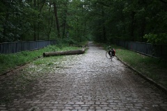 Auf dem Mauerradweg von Babelsberg nach Kleinmachnow und zurück über die Stammbahn 