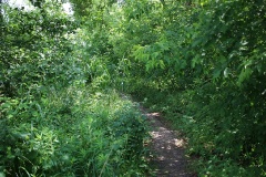 Auf der Stammbahn von Babelsberg nach Kleinmachnow und auf dem Mauerradweg am Teltowkanal zurück
