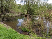 Röthepfuhl in Ruhlsdorf 