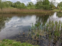 Röthepfuhl in Ruhlsdorf 