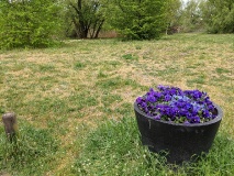 Röthepfuhl in Ruhlsdorf