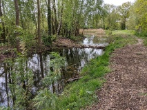 Röthepfuhl in Ruhlsdorf 