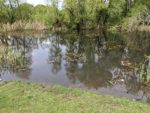 Region Teltow/Kleinmachnow/Stahnsdorf