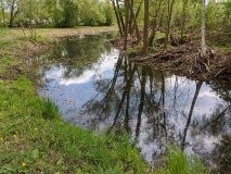 Röthepfuhl in Ruhlsdorf