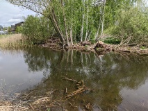 Röthepfuhl in Ruhlsdorf