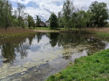 Röthepfuhl in Ruhlsdorf 