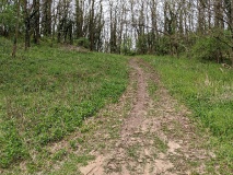 Weg vom Röthepfuhl Ruhlsdorf zur Streuobstwiese in Stahnsdorf