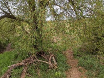 Ausflugstipps für den Landkreis Potsdam-Mittelmark