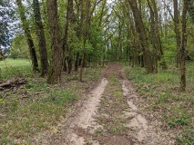 Weg vom Röthepfuhl Ruhlsdorf zur Streuobstwiese in Stahnsdorf