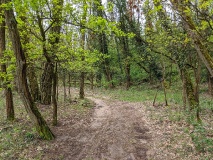 Weg vom Röthepfuhl Ruhlsdorf zur Streuobstwiese in Stahnsdorf