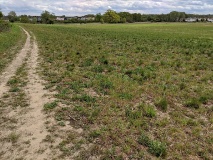 Weg vom Röthepfuhl Ruhlsdorf zur Streuobstwiese in Stahnsdorf