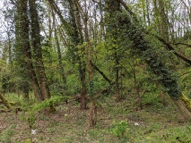 Weg vom Röthepfuhl Ruhlsdorf zur Streuobstwiese in Stahnsdorf