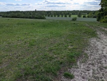 Bergwiese in Phöben im westlichen Teil des Wachtelberges