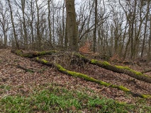 Die Baumgartenbrücke, das Schill-Denkmal und der Franzensberg