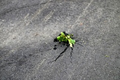 Naturgewalt