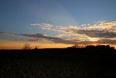 Foto, am Telegrafenberg, Glindow