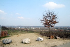 Fuchsberg/Telegrafenstation
