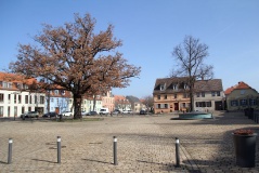 insel werder