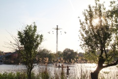 Insel Werder