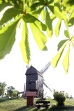 Insel Werder