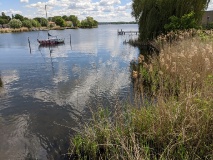 Insel Werder