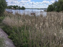 Insel Werder