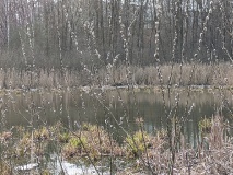 Region Werder/Schwielowsee