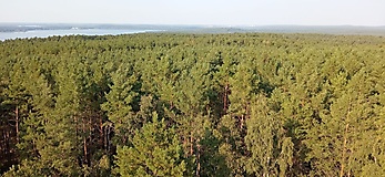 Rundtour: Seddiner See - Beelitz - Ferch - Caputh