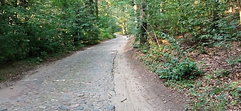 Rundtour: Seddiner See - Beelitz - Ferch - Caputh