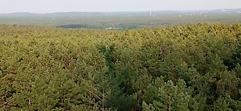 Rundtour: Seddiner See - Beelitz - Ferch - Caputh