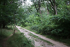 Rundtour von Werder nach Deetz und Lehnin