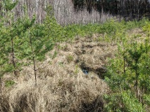 Ausflugstipps für den Landkreis Potsdam-Mittelmark