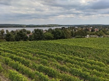 Rundtour Werder - Petzow - Glindow - Phöben 