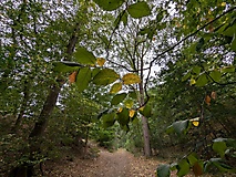 Ausflugstipps für den Landkreis Potsdam-Mittelmark