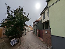 Werder (Havel): Viel zu entdecken gibt es im Stadtwald und auf der Insel.