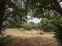 Werder (Havel): Viel zu entdecken gibt es im Stadtwald und auf der Insel.