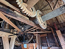 Werder (Havel): Viel zu entdecken gibt es im Stadtwald und auf der Insel.