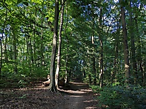 Rund um die Lienewitzseen