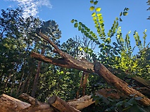 Strandidylle: Rund um die Lienewitzseen